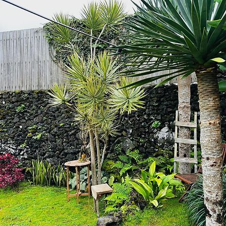 Vila Portugal House Praia do Norte Exteriér fotografie